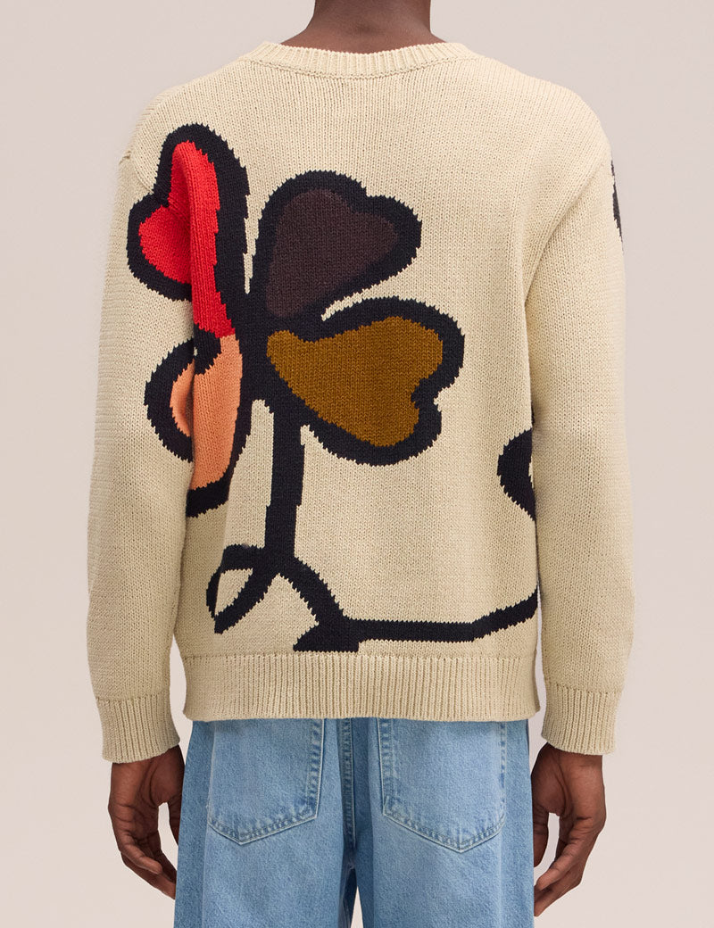 NN07 Todd Intarsia Sweater Ecru Model Back View