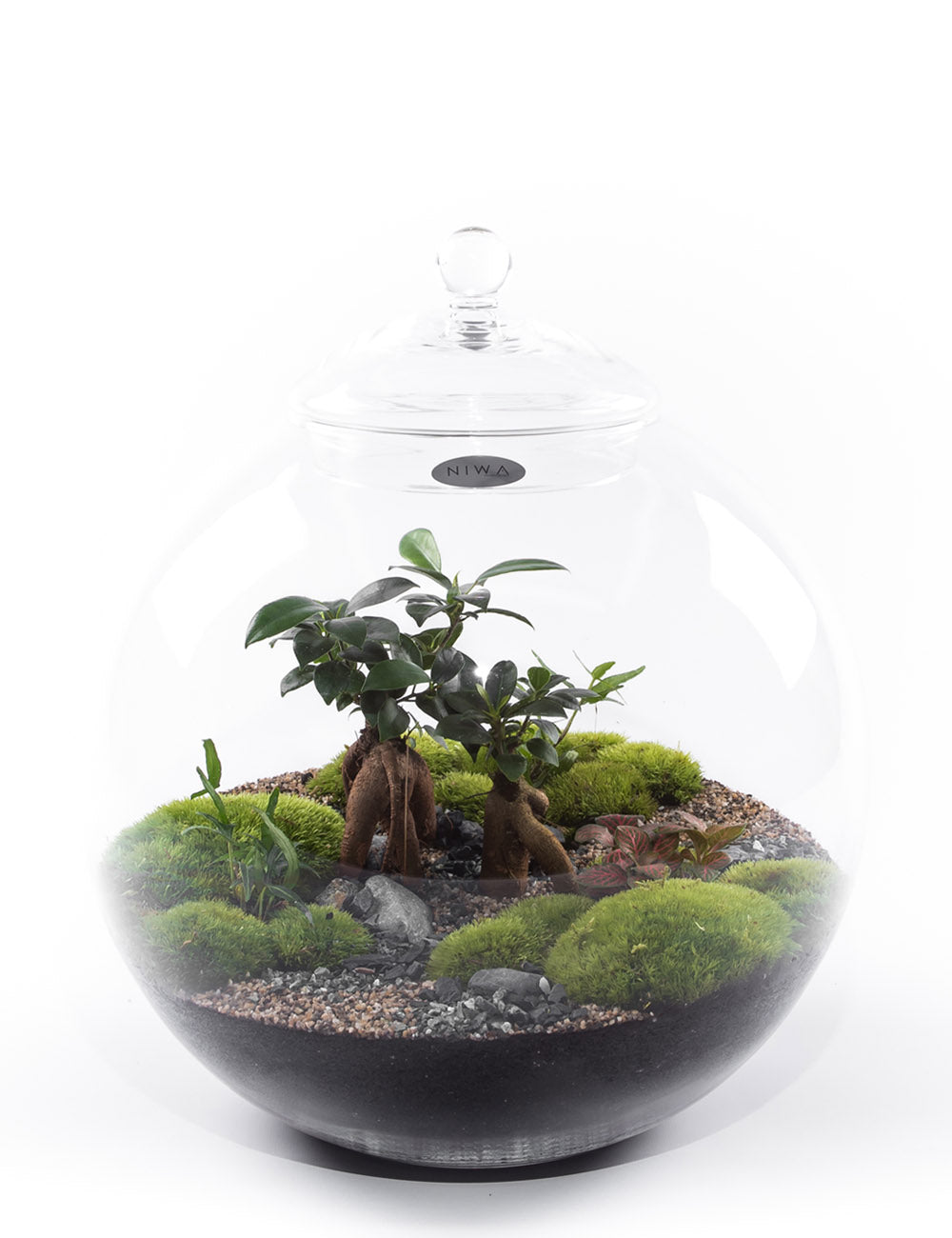 NIWA DESIGN EARTH TERRARIUM