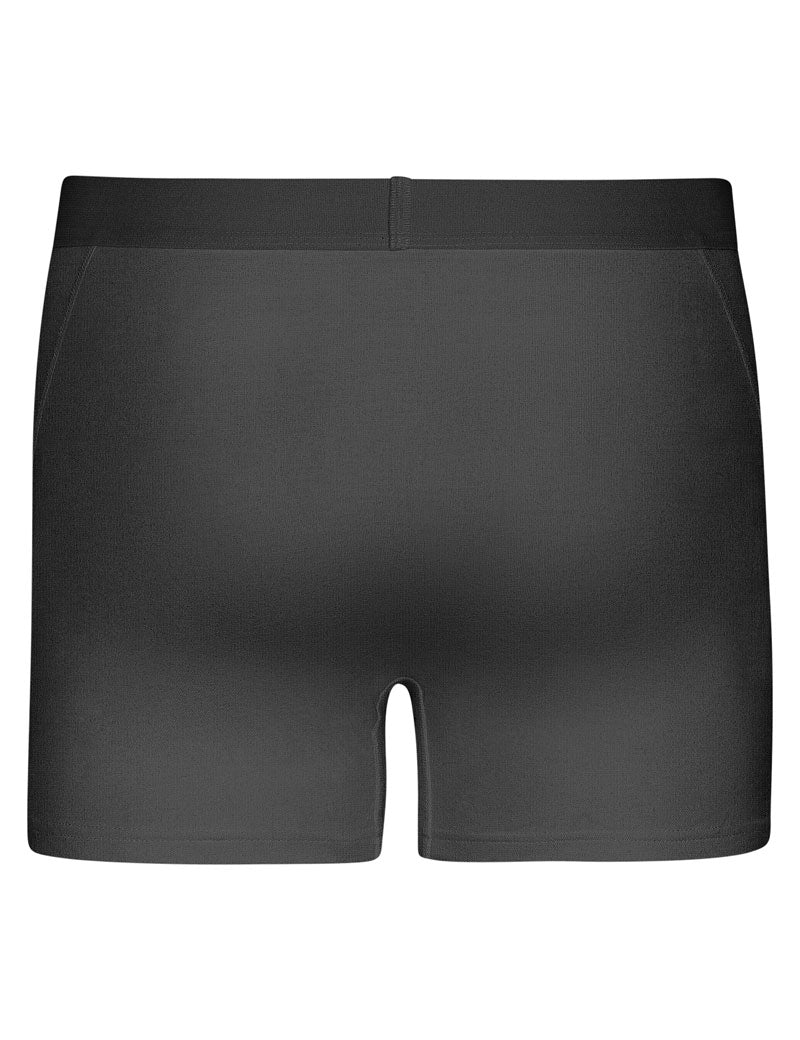 Colorful Standard Classic Organic Boxer Briefs Lava Grey Back