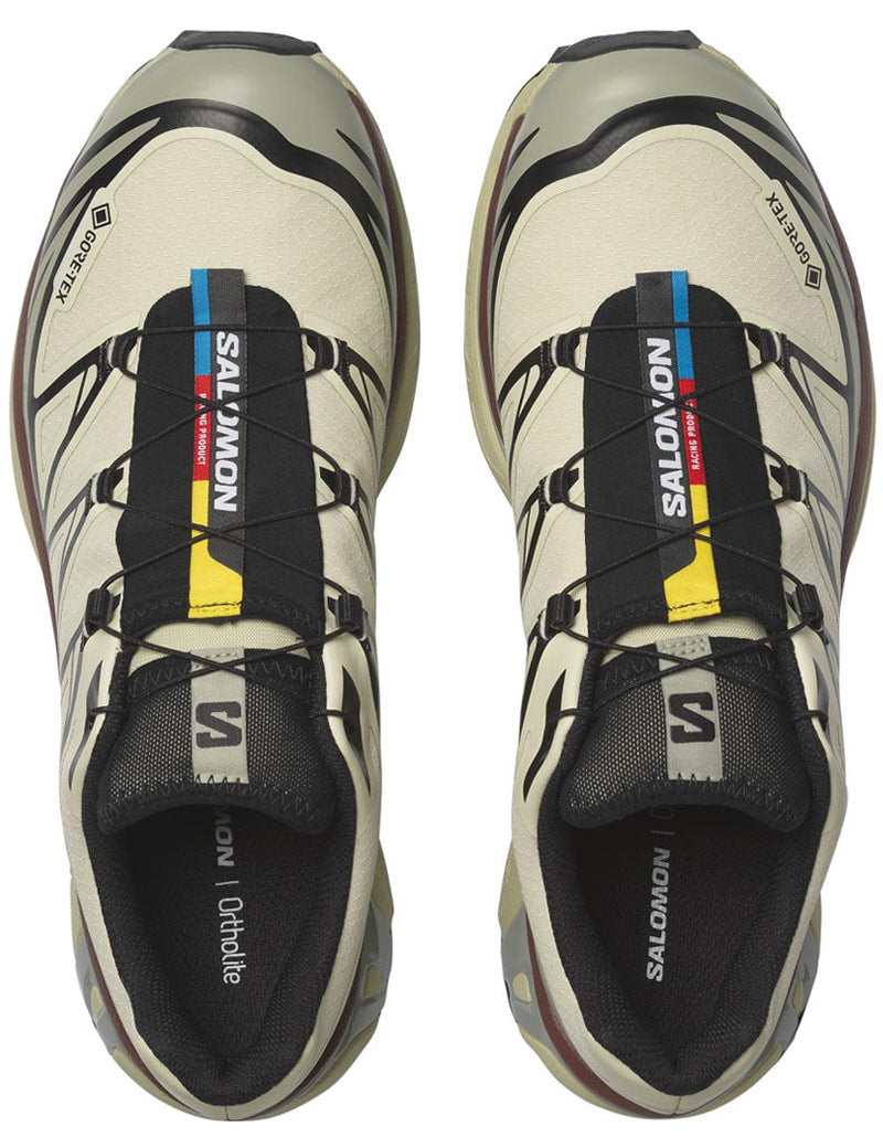 Salomon XT-6 GTX Trainers Aspargus, Green Tea, Bitter Chocolate Top View