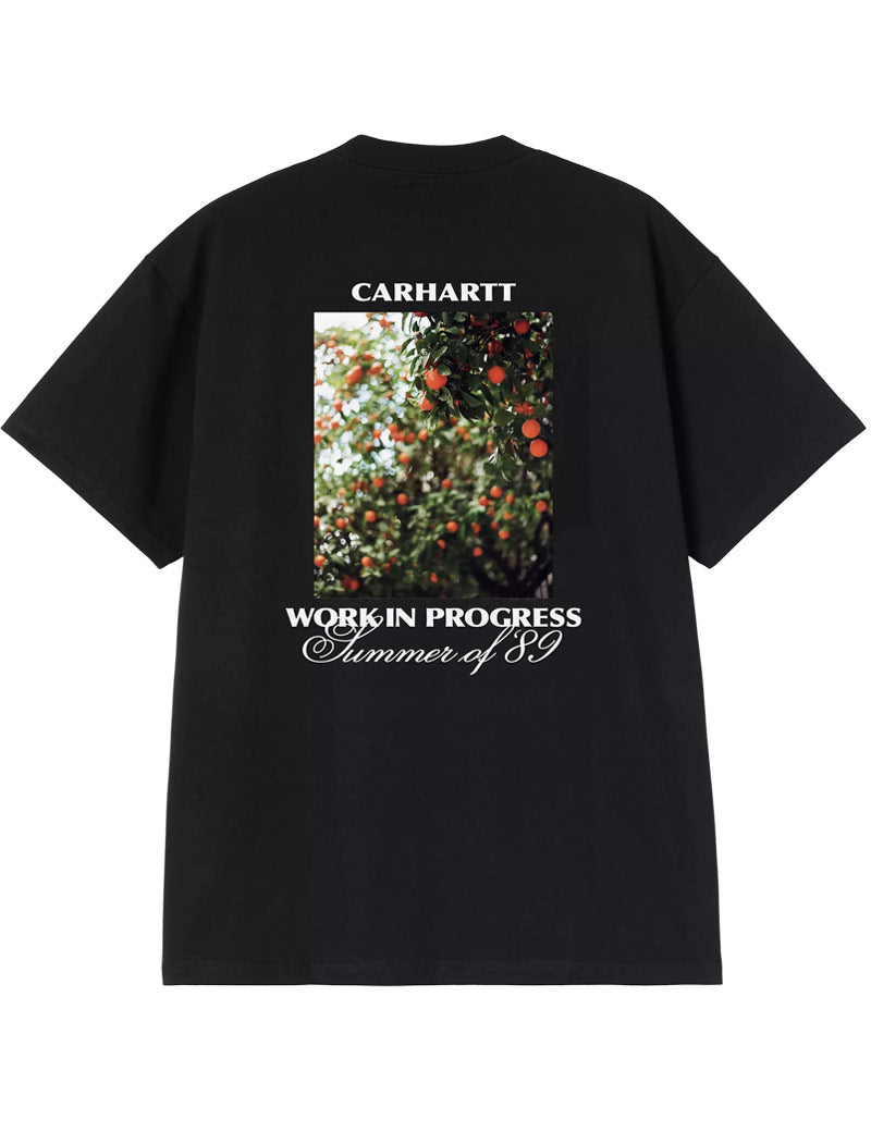 Carhartt WIP Short Sleeved Warm Views T-Shirt Black Back Print