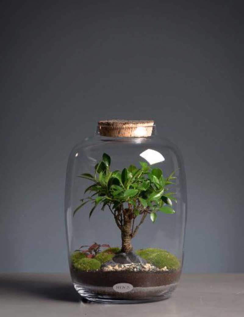 NIWA DESIGN CHIARA SMALL TERRARIUM