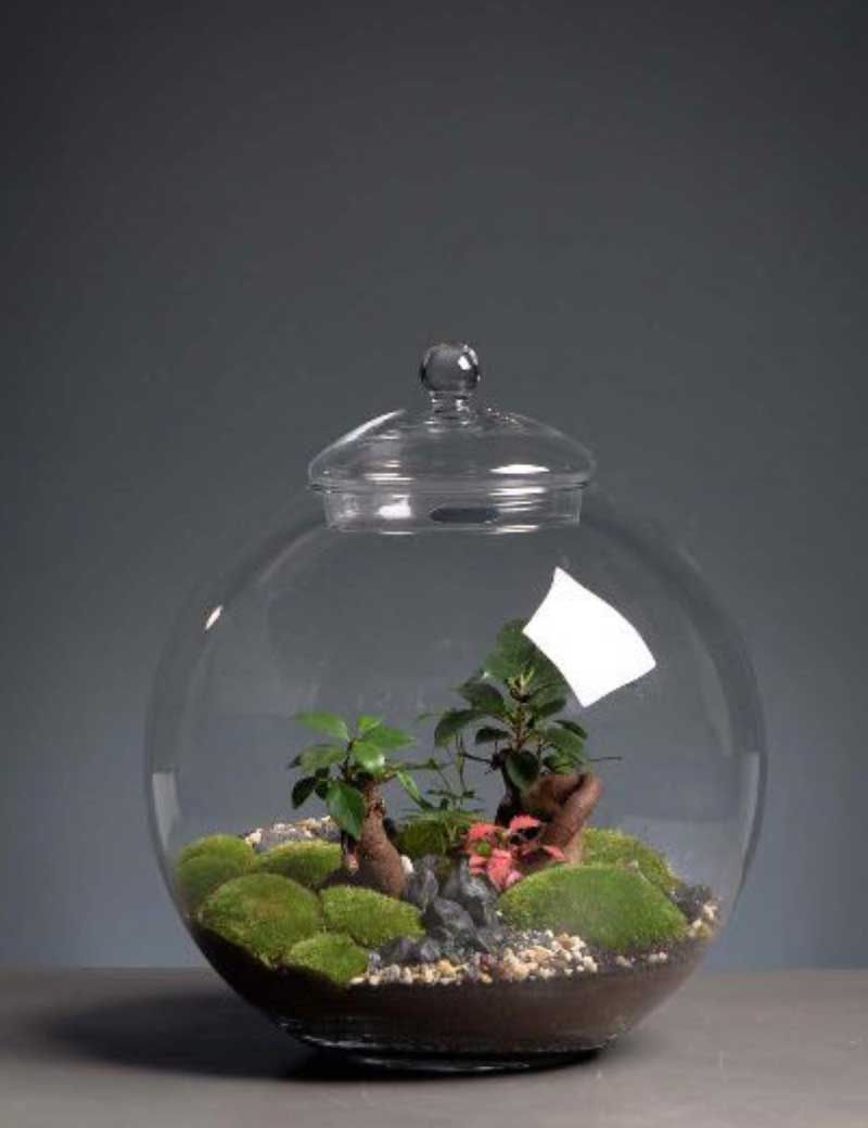 Niwa Design Earth Terrarium