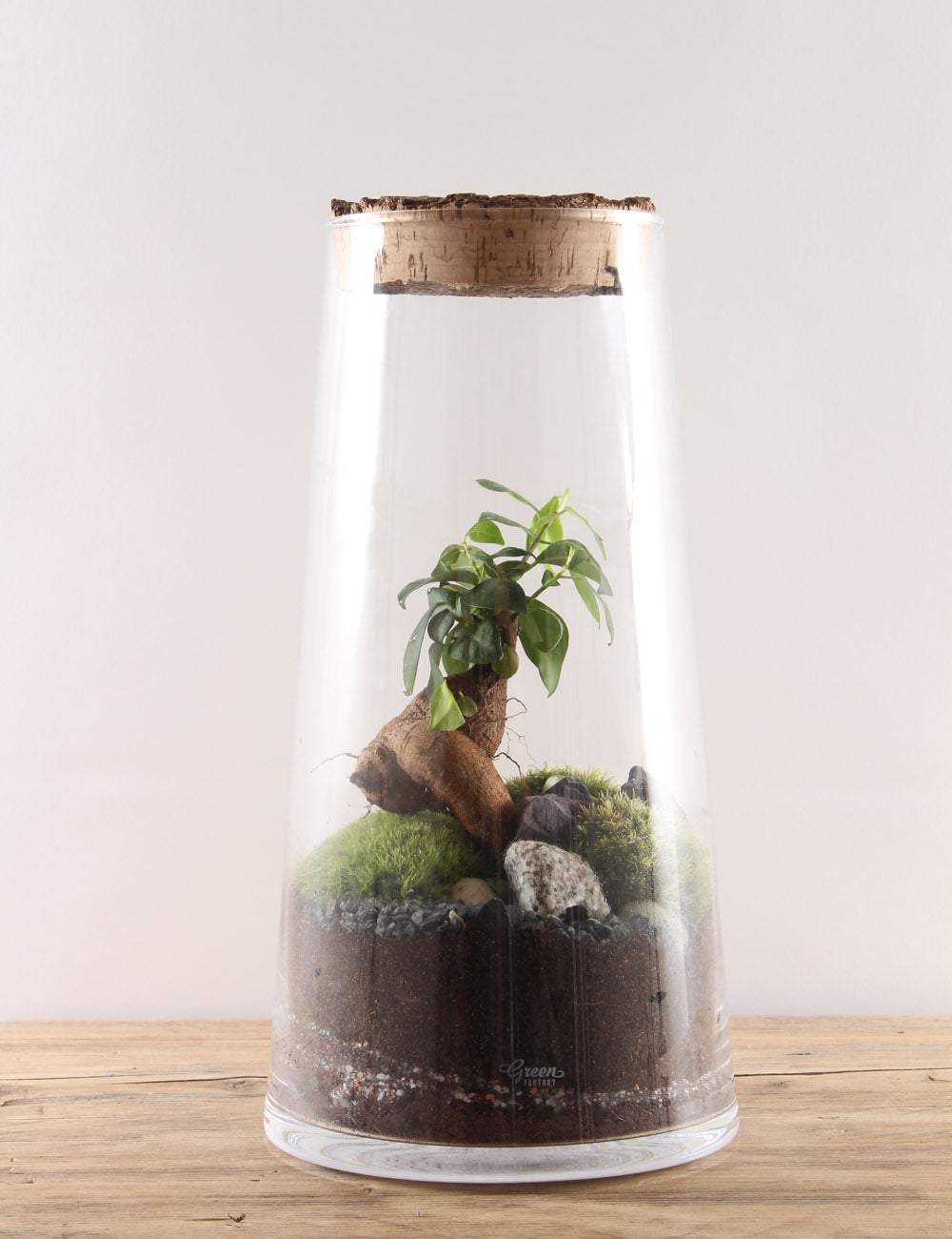 Green Factory Forest High Terrarium